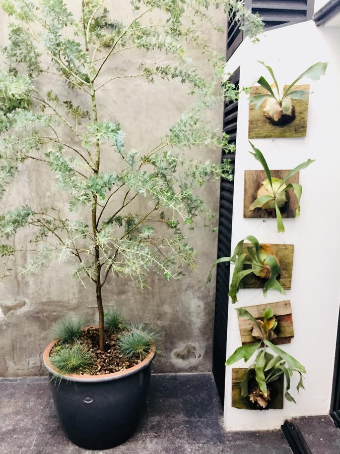 Apartmán Casa Dovela Ciudad de México Exteriér fotografie